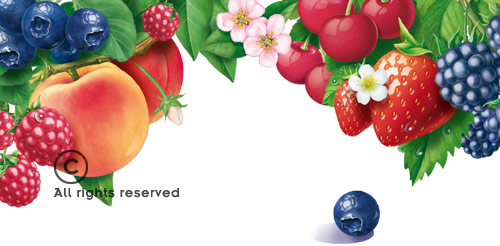Illustration med blandede frugter til etikette
